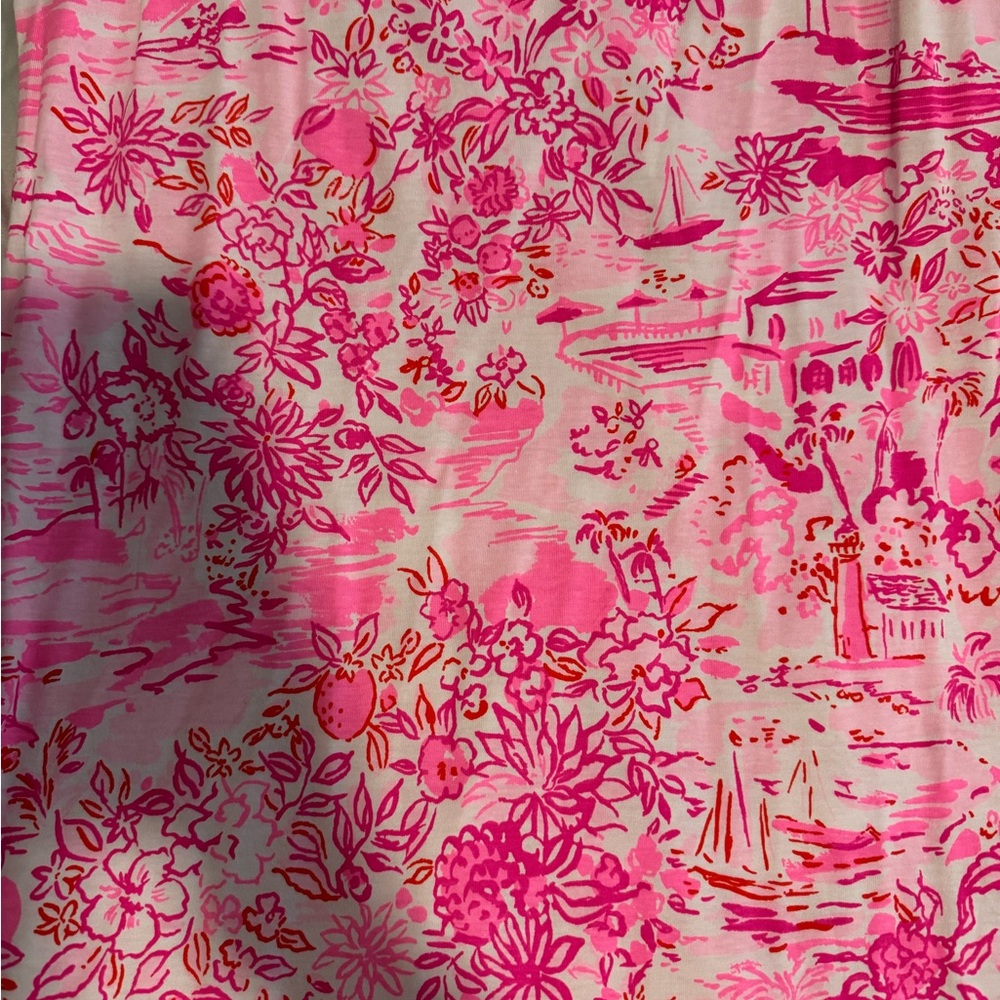 Lily Pulitzer Dress - Picture 3 of 5